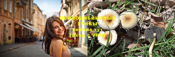 винт Алексеевка