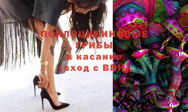 трава Армянск