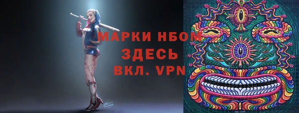 стафф Алзамай