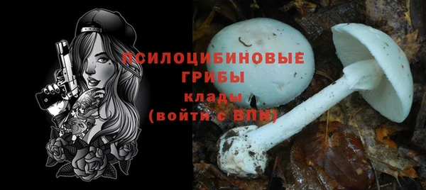стафф Алзамай