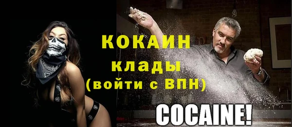 стафф Алзамай